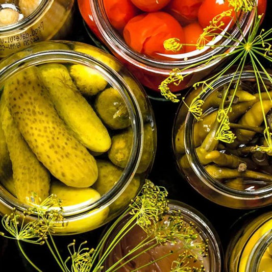 Fürst Pickler’s Preservation Retreat